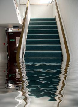Flooded Basement Cleanup